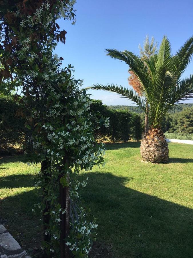 3 Bedroom Villa In Elani Villas Chalkidiki 시비리 외부 사진