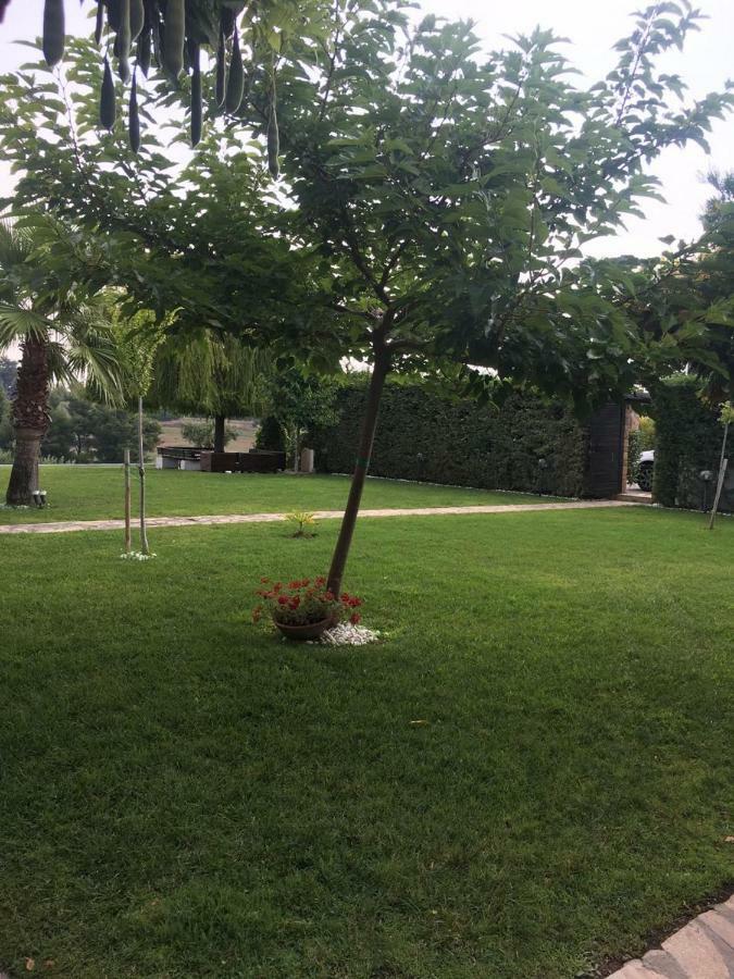 3 Bedroom Villa In Elani Villas Chalkidiki 시비리 외부 사진